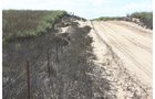 Property photo 81 - LAND AUCTION, 3255+/- Acres offered in 13 Tracts